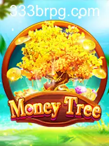 Explorando o Mundo de MoneyTree e 333br